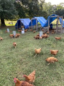 Read more about the article Not My Favorite